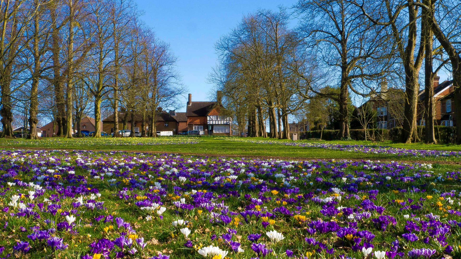 Guildford spring